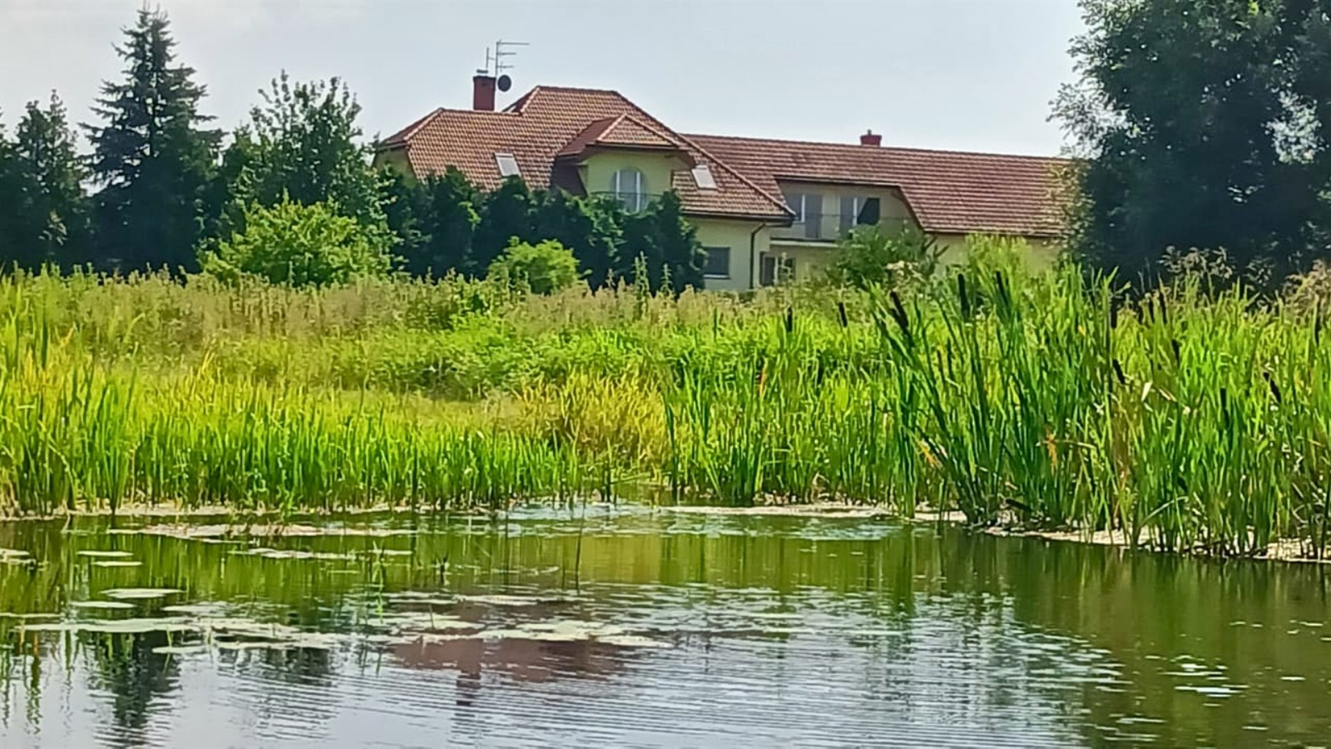 Dom na sprzedaż
